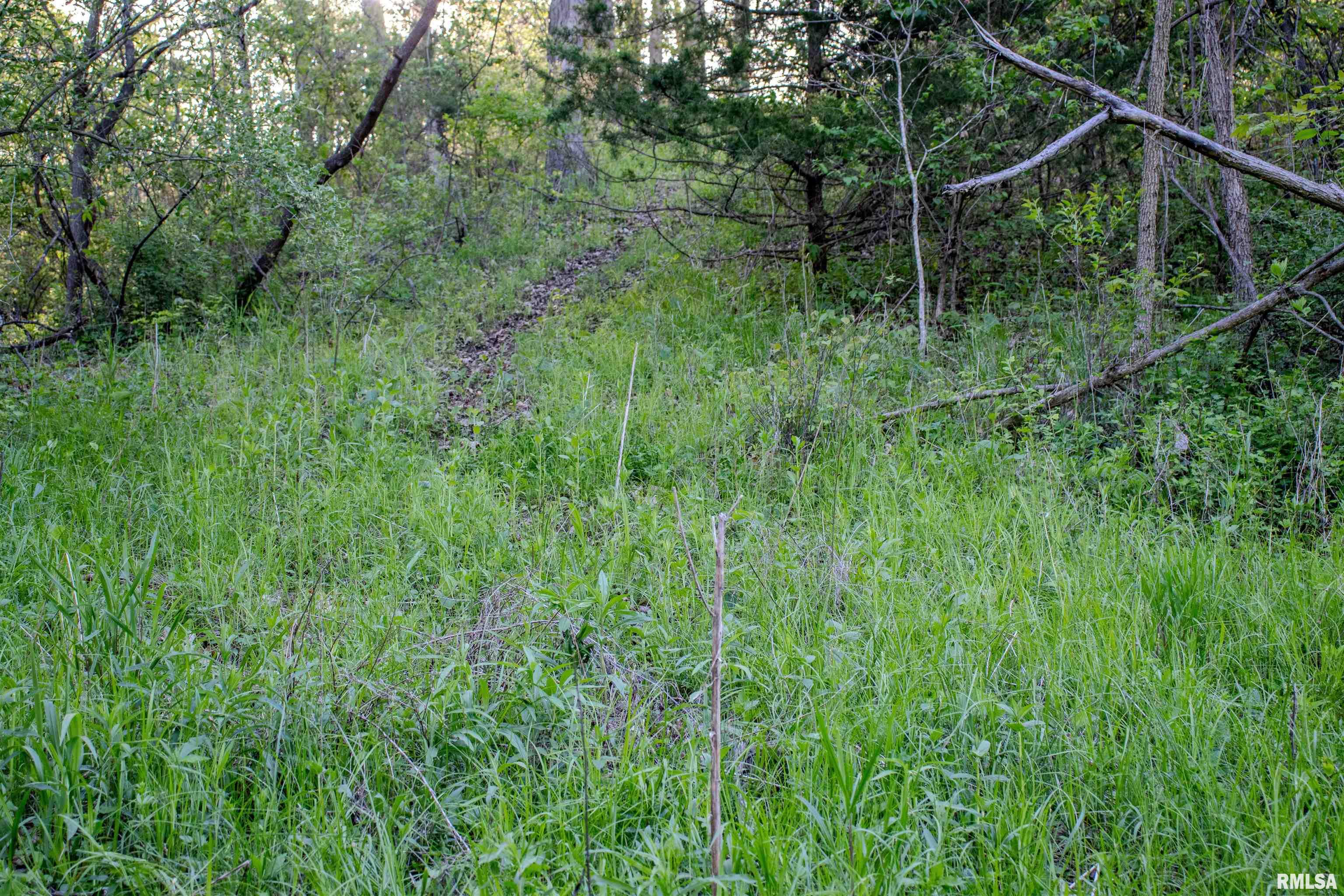 21252 N Old Miller Lane Property Photo 16