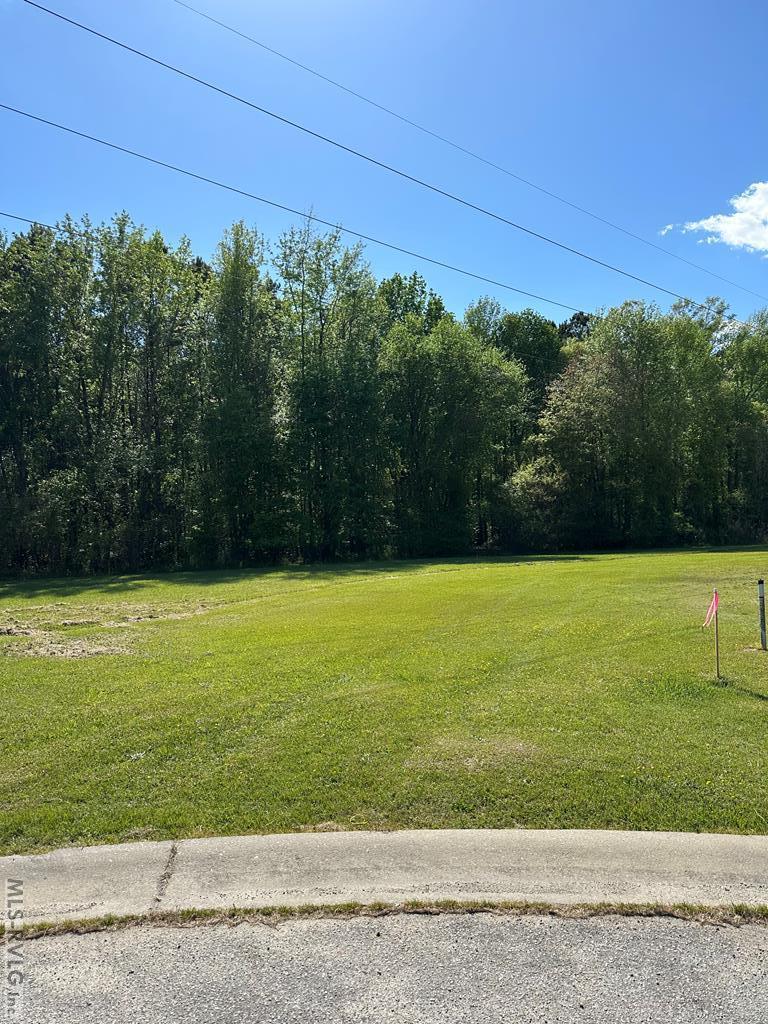 133 Pinewood Dr Lot # 11 Property Photo