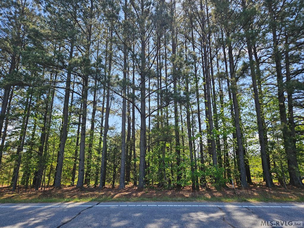 Lot #1 Nc Highway 48 Property Photo 1