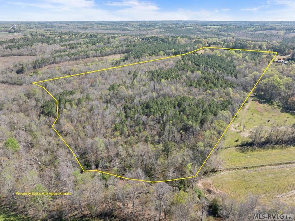 7099 Highway 1 Property Photo 1