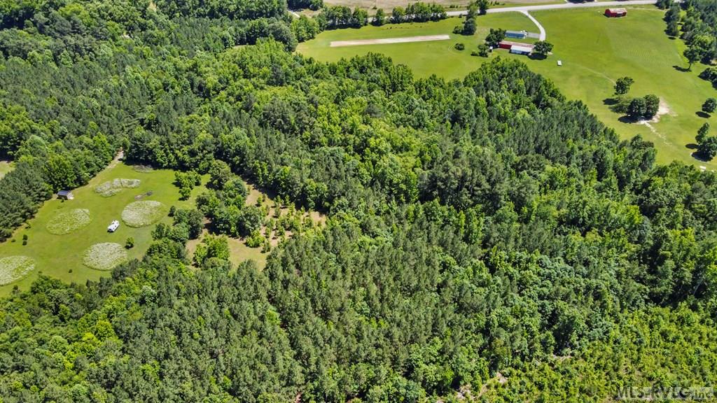 0 Boydton Plank Road Property Photo 8
