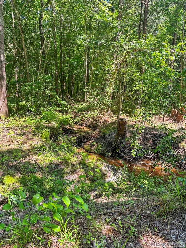 0 Boydton Plank Road Property Photo 13