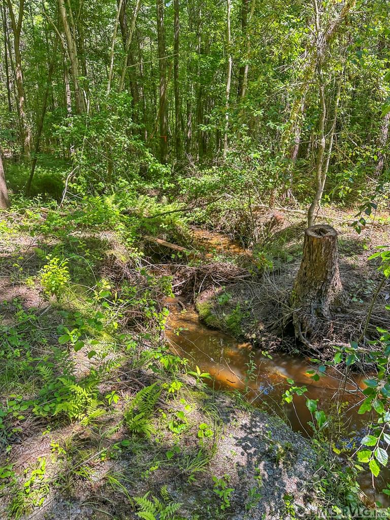 0 Boydton Plank Road Property Photo 14