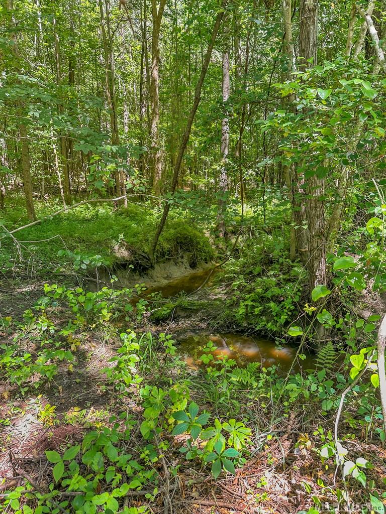 0 Boydton Plank Road Property Photo 15
