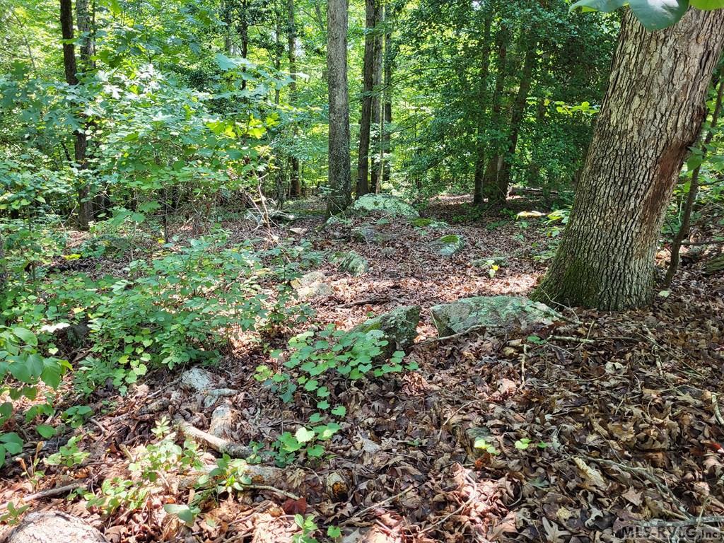 0 Weanock Lane Property Photo