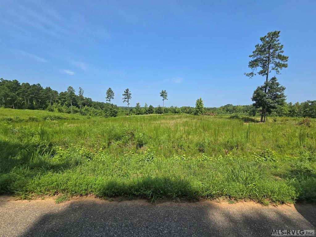000 Brown Town Rd Property Photo 10