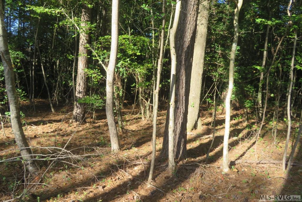 Lot 13 Halyard Property Photo 7