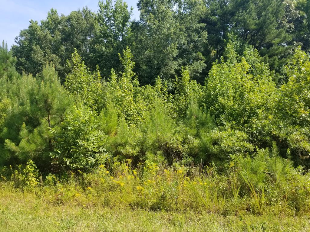 Lot # 12 Arbor Drive Property Photo