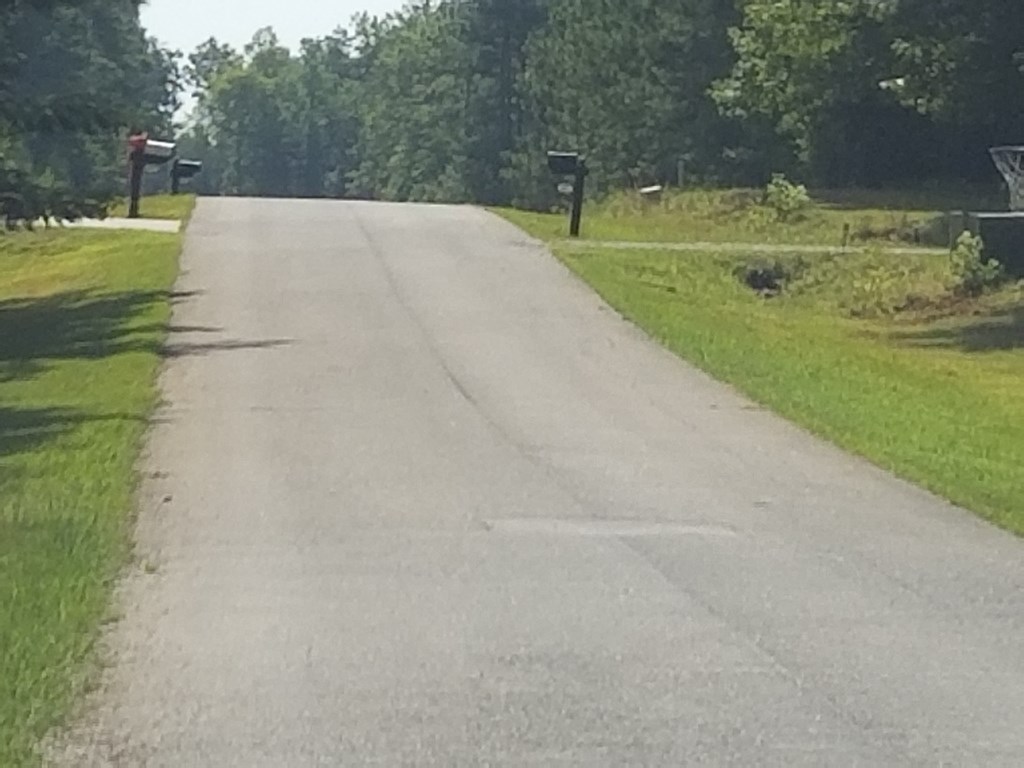 Lot # 12 Arbor Drive Property Photo 2