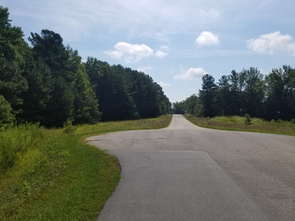 Lot # 12 Arbor Drive Property Photo 3