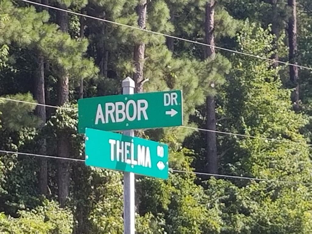 Lot # 12 Arbor Drive Property Photo 4