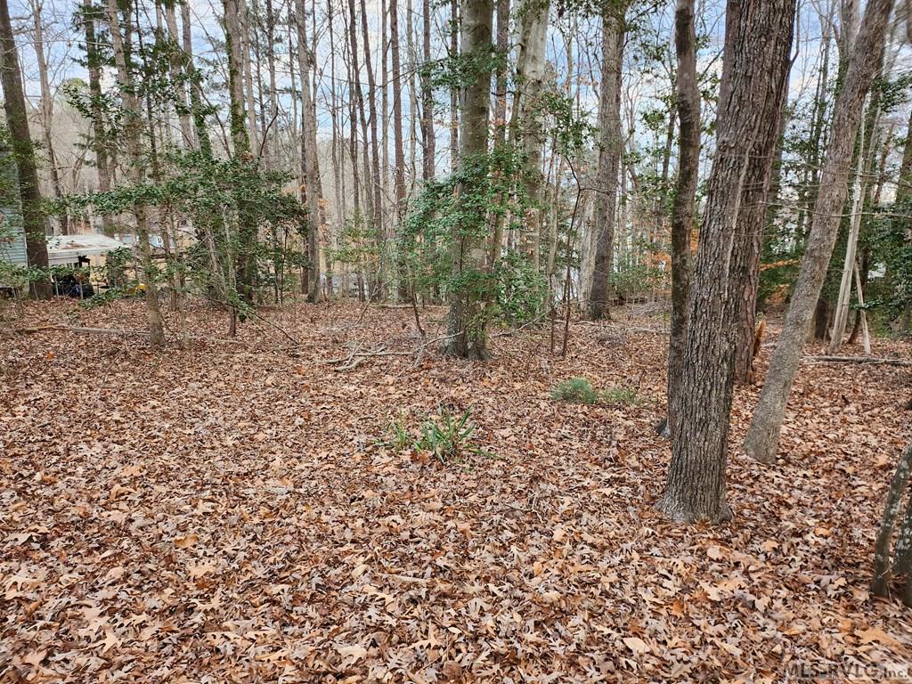 Tbd Stewart Payne Lane Property Photo 2