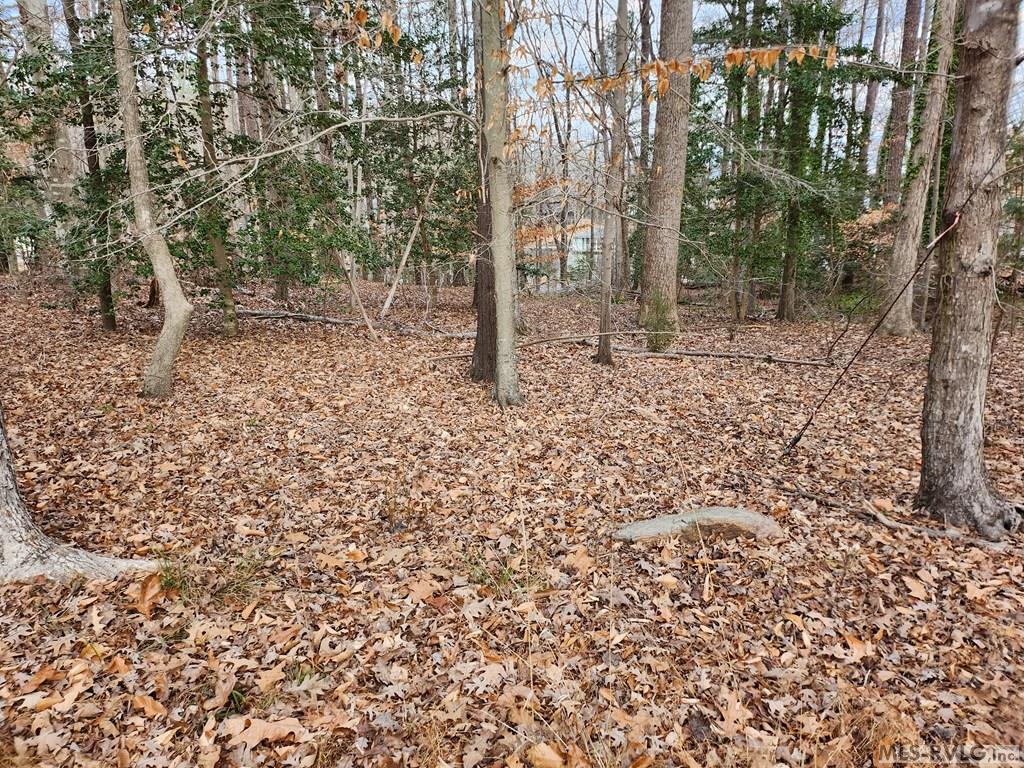Tbd Stewart Payne Lane Property Photo 3
