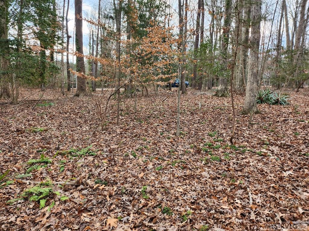 Tbd Stewart Payne Lane Property Photo 4