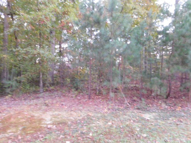 Lot 61 Lake Pointe Drive Property Photo 2