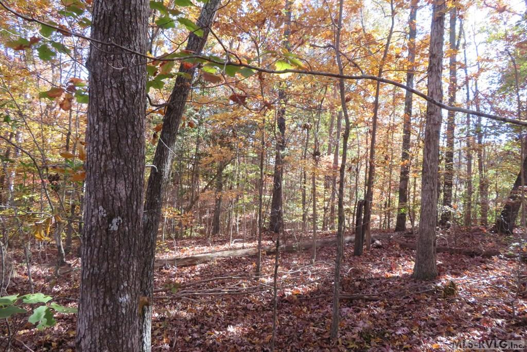 Lot 61 Lake Pointe Drive Property Photo 3