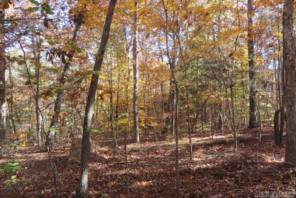 Lot 61 Lake Pointe Drive Property Photo 4