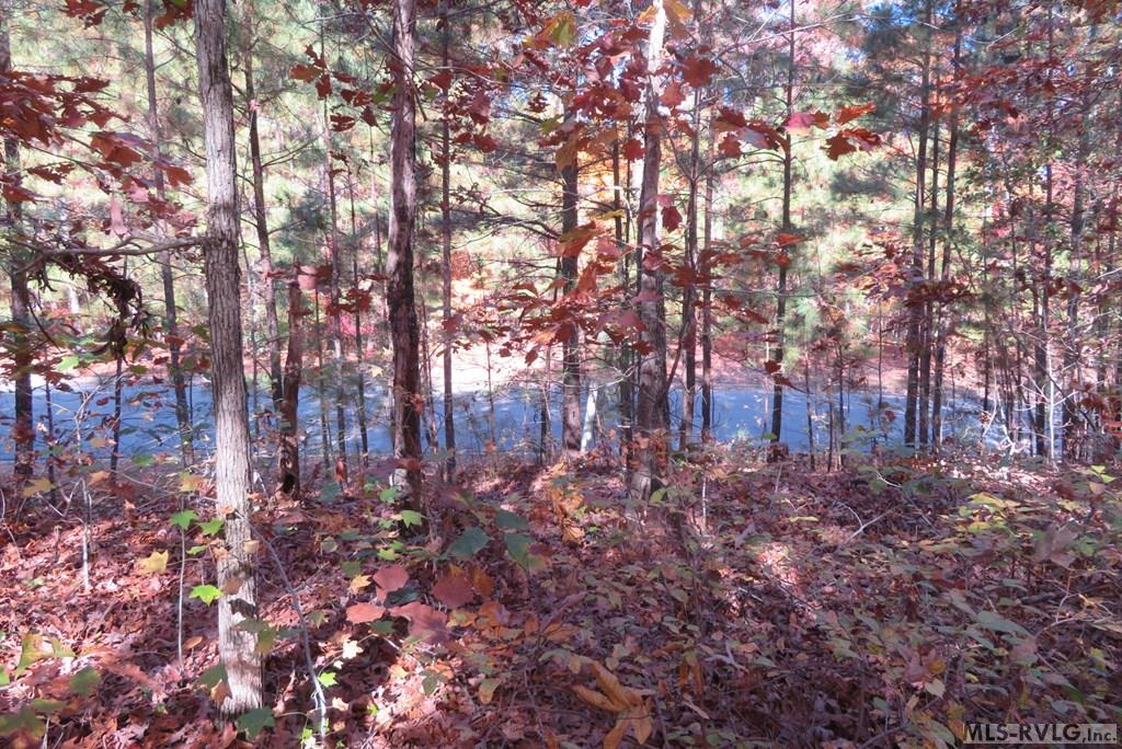 Lot 61 Lake Pointe Drive Property Photo 5