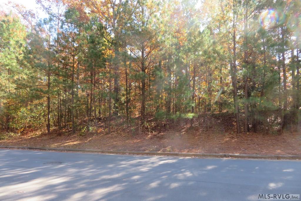 Lot 61 Lake Pointe Drive Property Photo 6