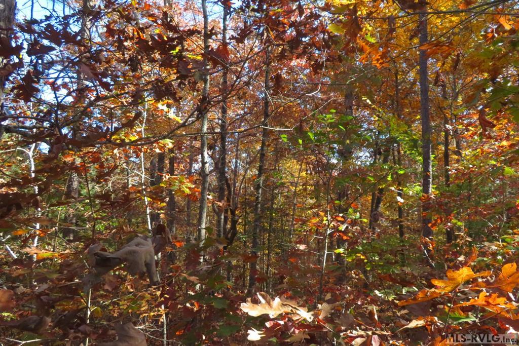 Lot 61 Lake Pointe Drive Property Photo 7