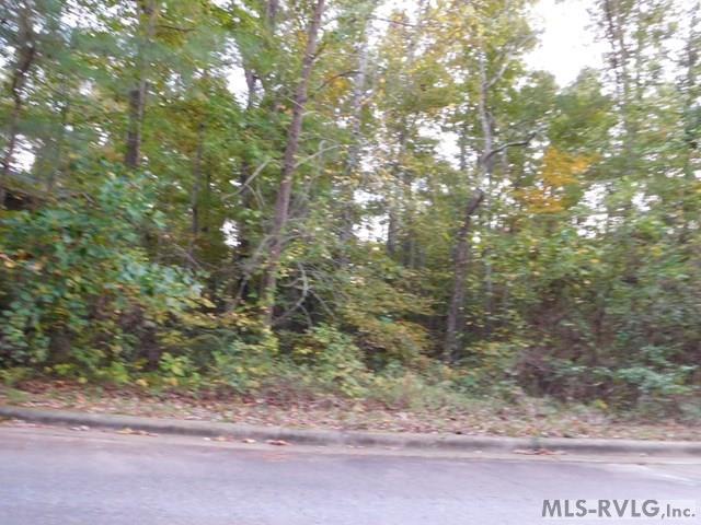 Lot 72 Lake Pointe Drive Property Photo 2