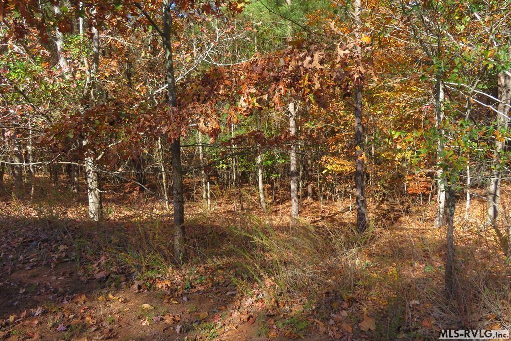 Lot 72 Lake Pointe Drive Property Photo 6