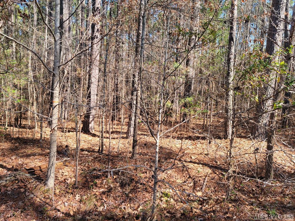 54 N. Daniel Court Property Photo 1