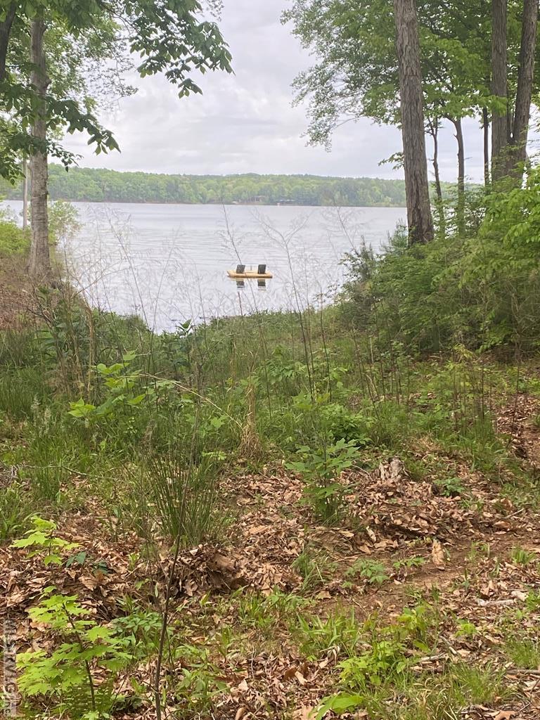 Lot # 78 Syd's Bluff Property Photo 2
