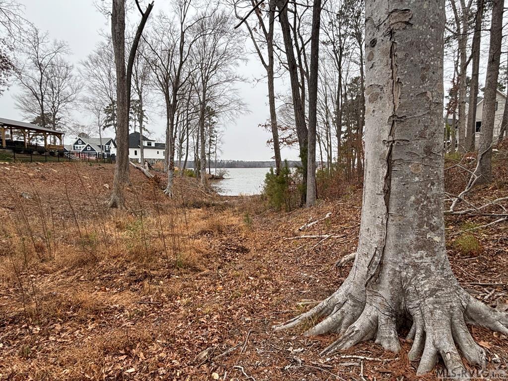 Lot # 78 Syd's Bluff Property Photo 30