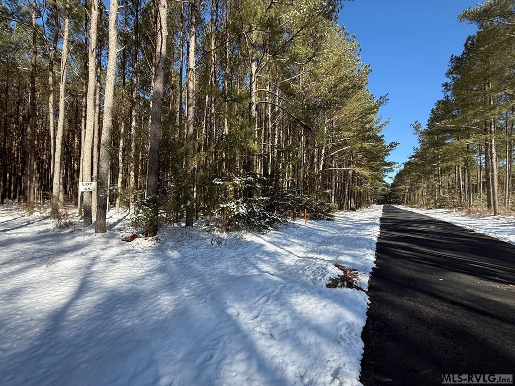 64 Granite Hall Drive Property Photo 4