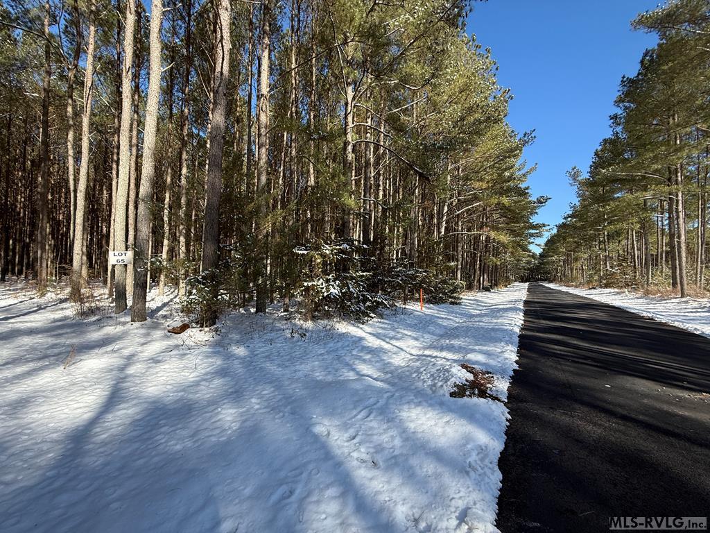 64 & 65 Granite Hall Drive Property Photo 3
