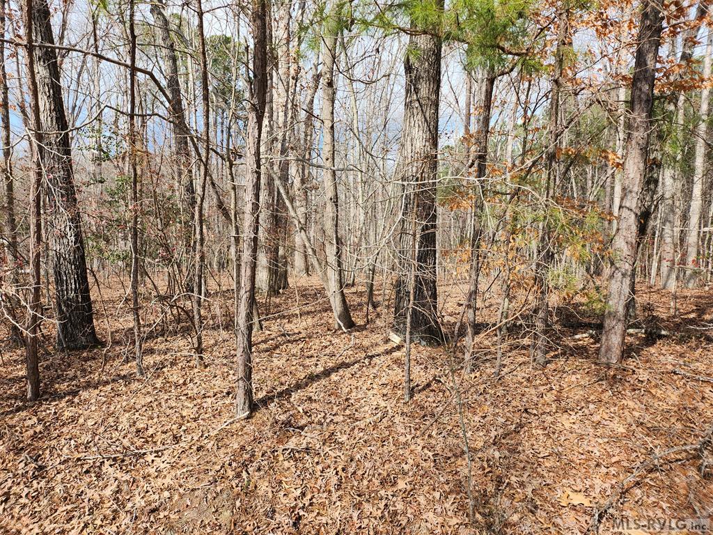Henrico | Lake Gaston | Nc Real Estate Listings Main Image