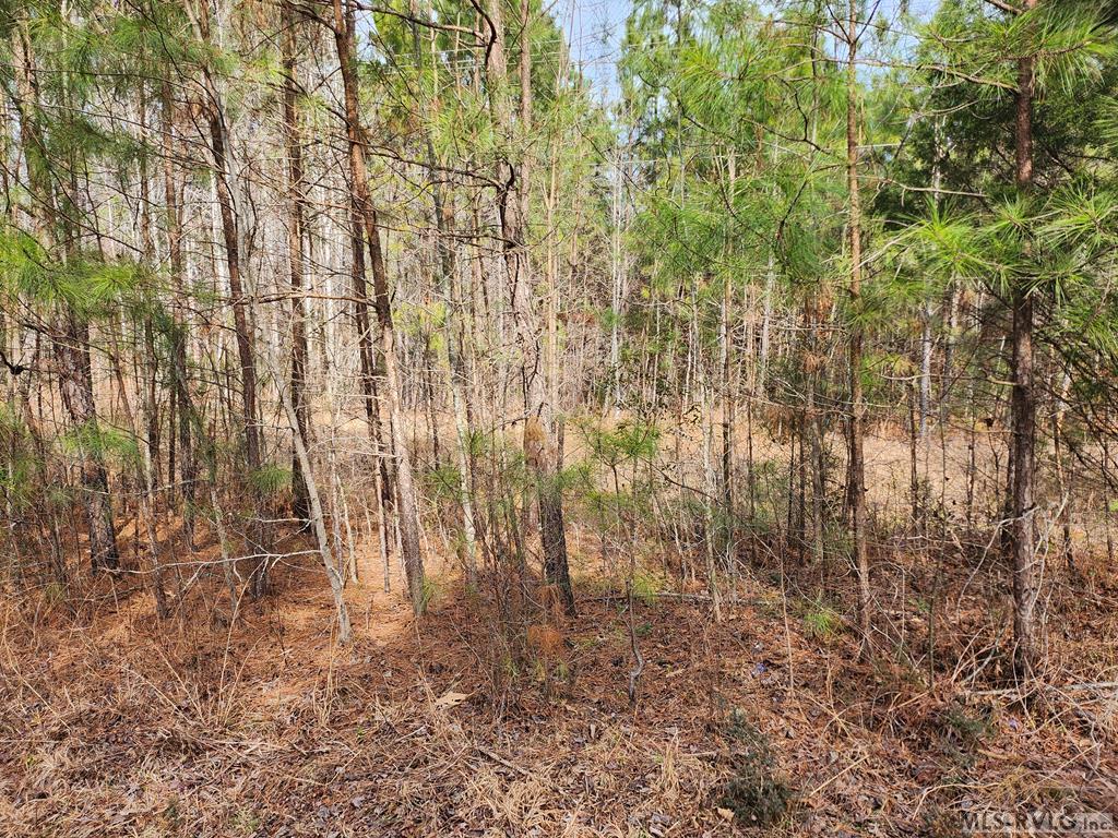Tbd Speckle Cove Rd Property Photo