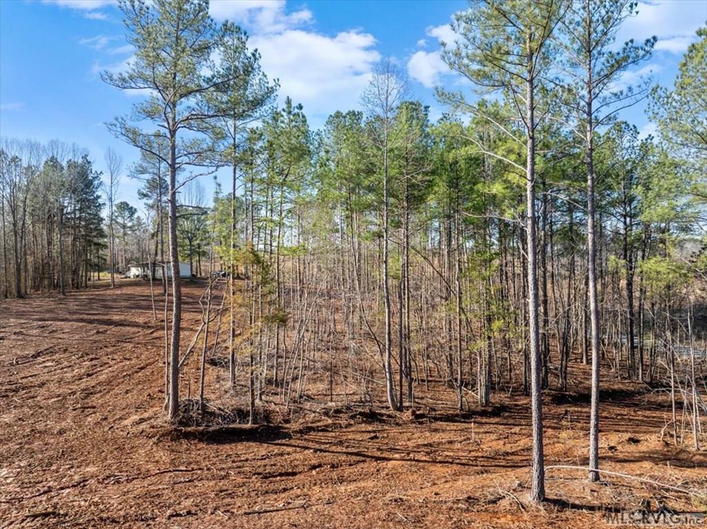 0 Tanner Town Road Property Photo 2