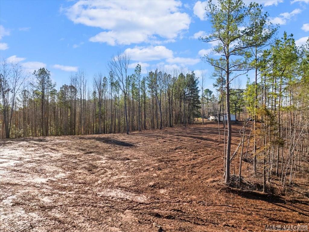 0 Tanner Town Road Property Photo 3