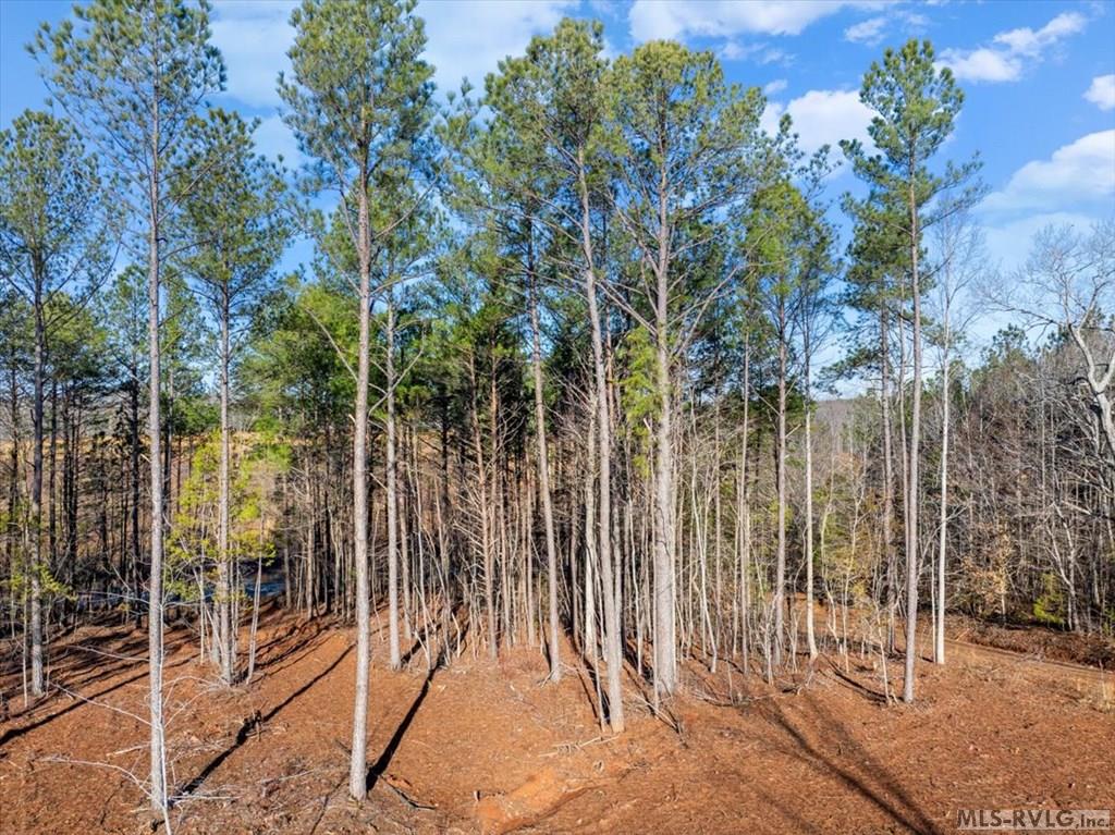 0 Tanner Town Road Property Photo 4