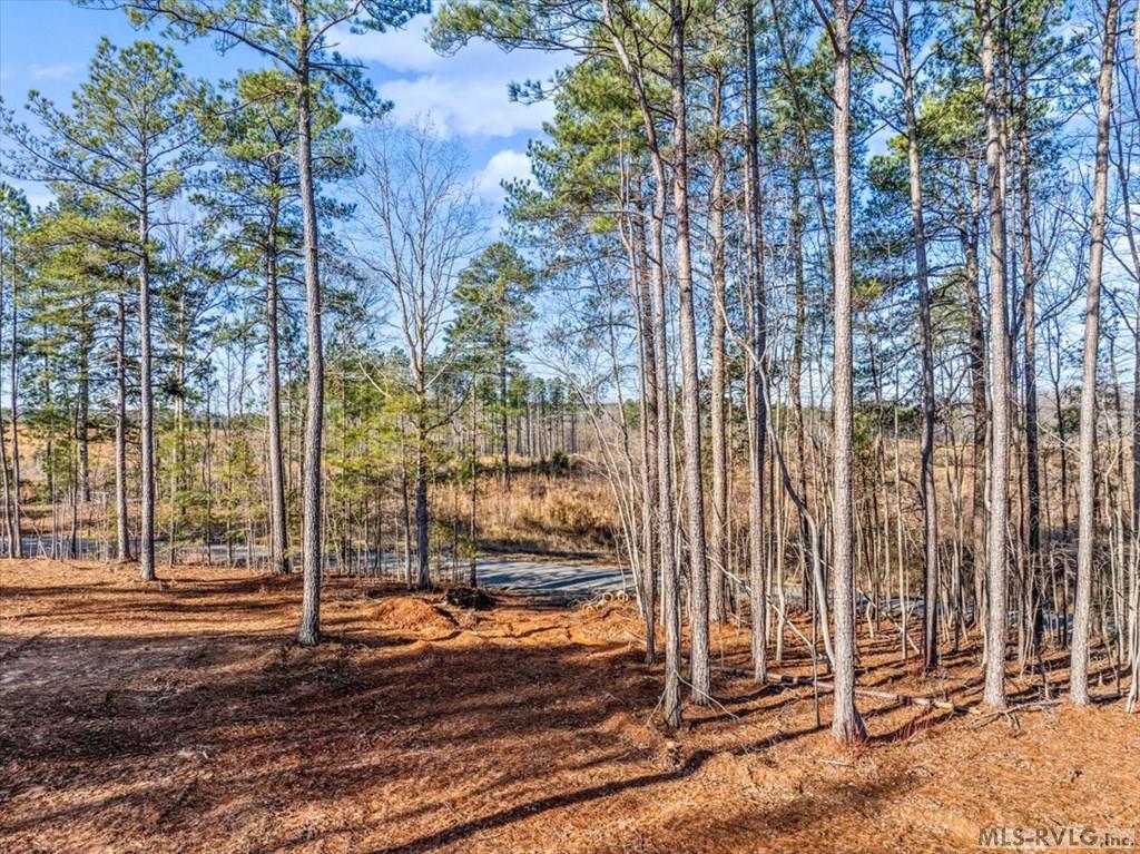 0 Tanner Town Road Property Photo 5