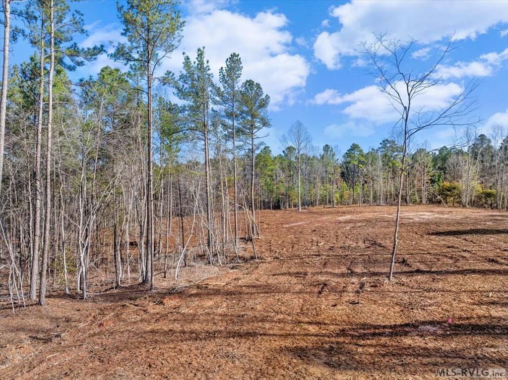 0 Tanner Town Road Property Photo 6