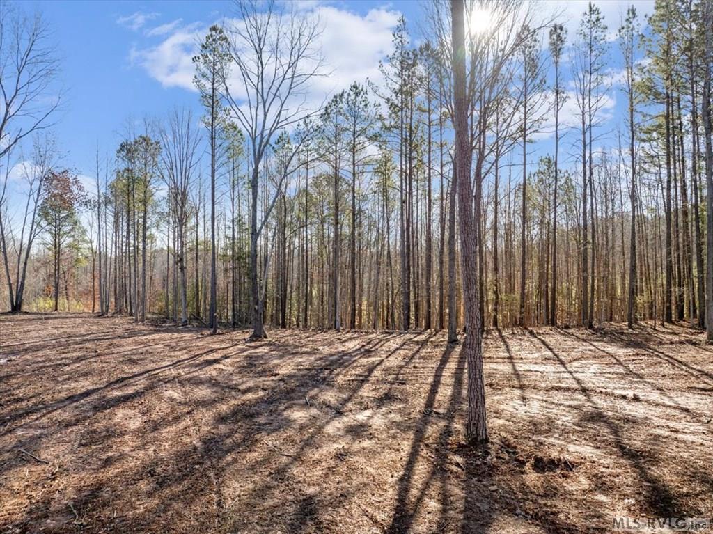 0 Tanner Town Road Property Photo 7