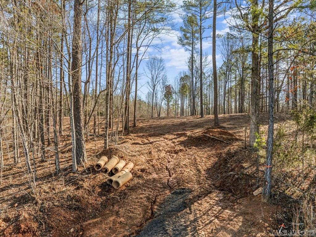 0 Tanner Town Road Property Photo 8