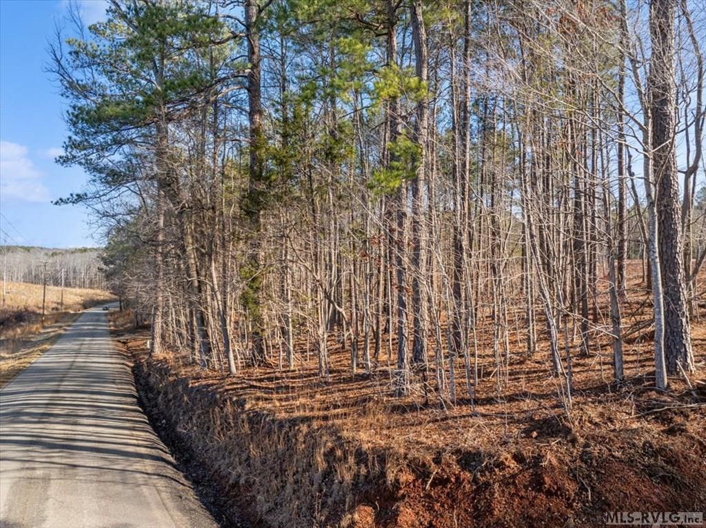 0 Tanner Town Road Property Photo 9