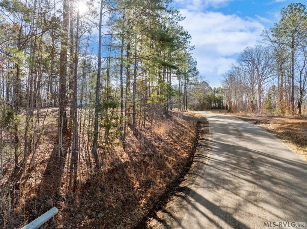 0 Tanner Town Road Property Photo 10