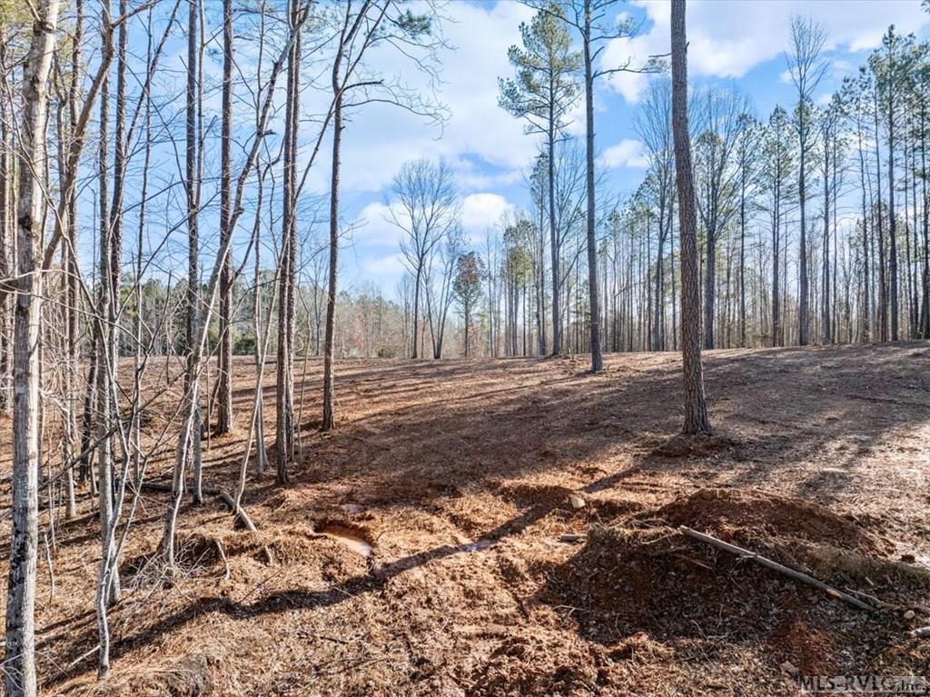 0 Tanner Town Road Property Photo 11