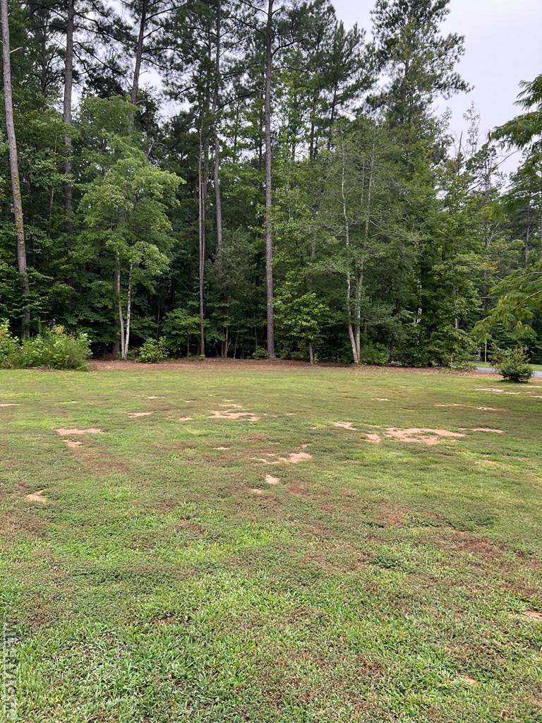 Lot 29 Walnut Ct Property Photo 8