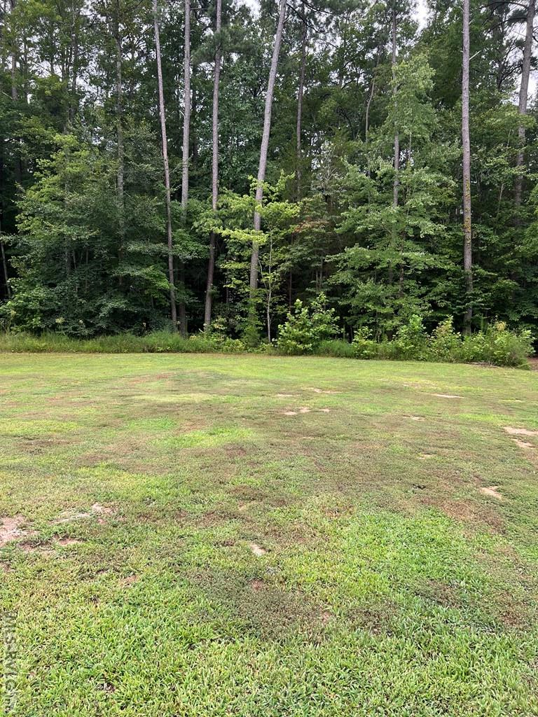 Lot 29 Walnut Ct Property Photo 9