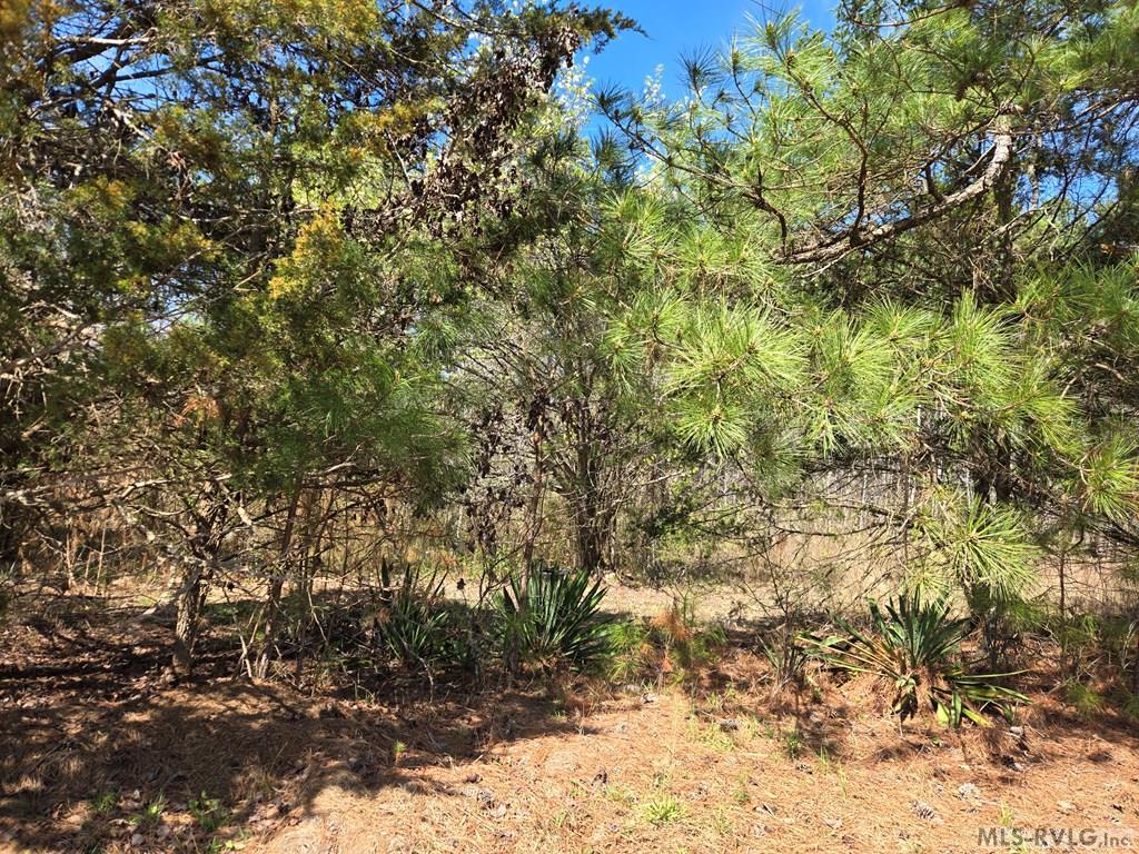 246 &320 Hibiscus Property Photo 2