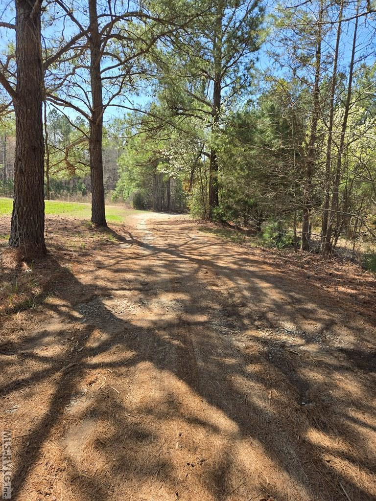 246 &320 Hibiscus Property Photo 3