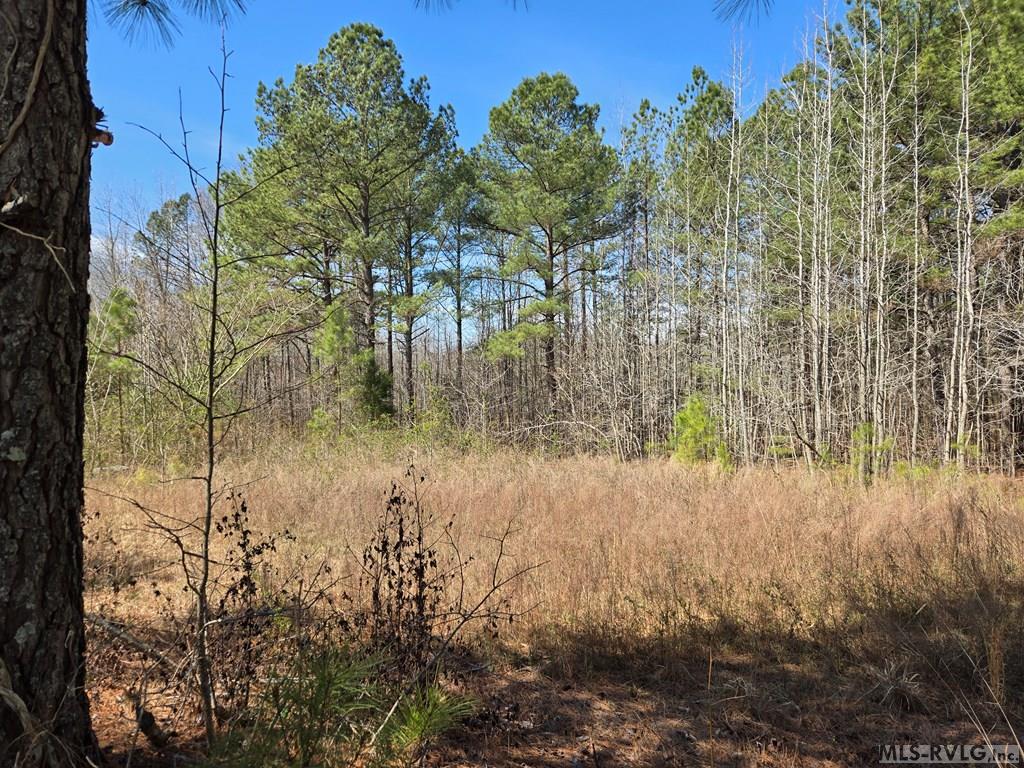 246 &320 Hibiscus Property Photo 4