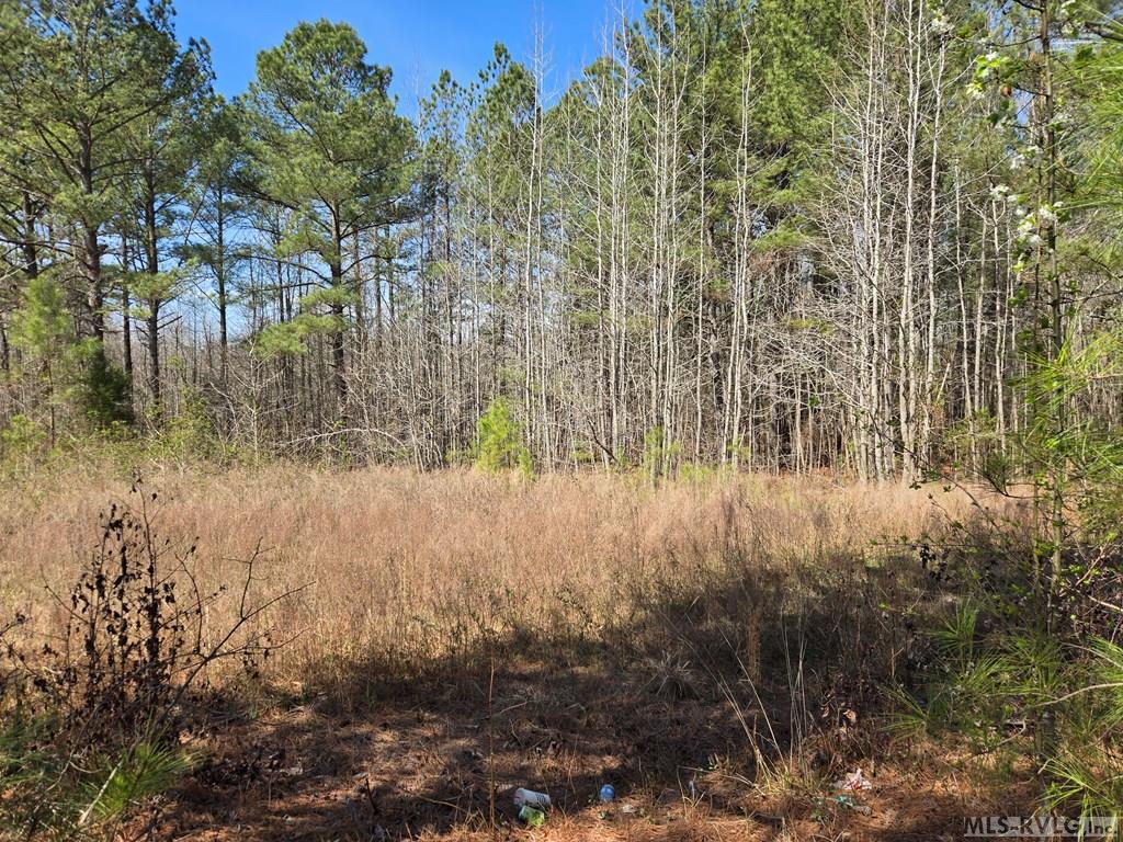 246 &320 Hibiscus Property Photo 5