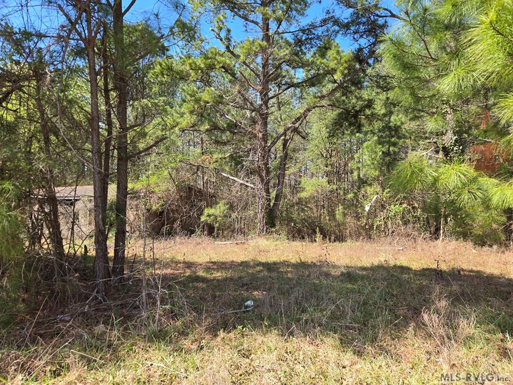 246 &320 Hibiscus Property Photo 9